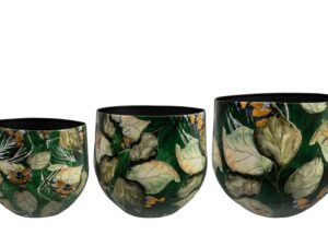 Conjunto de Vasos Bee Green Lammie